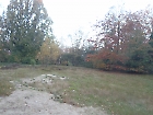NATUURTUIN