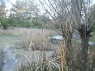 NATUURTUIN