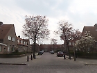 Hofdijkstraat