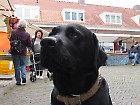 Beetsplein, rommelmarkt en Spellendag 2014