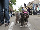 Beetsplein, rommelmarkt en Spellendag 2014