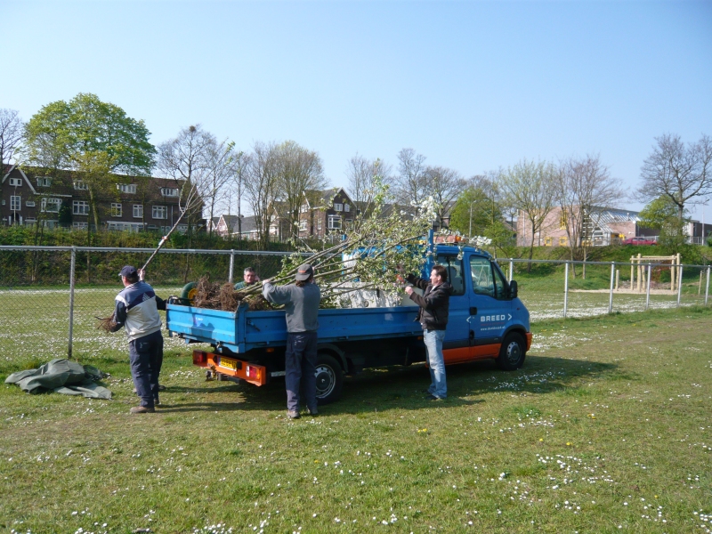 Breed plant fruitbomen